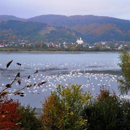 Apartament Central Piatra Neamţ エクステリア 写真