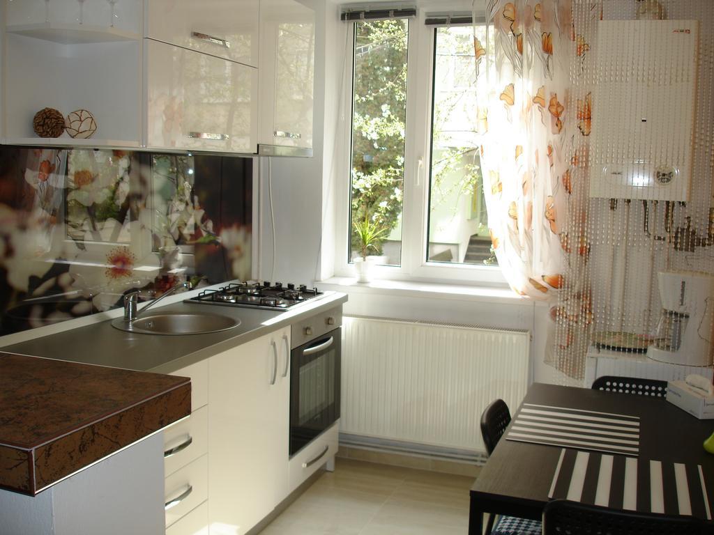 Apartament Central Piatra Neamţ エクステリア 写真