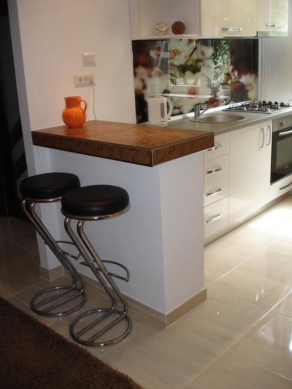 Apartament Central Piatra Neamţ エクステリア 写真